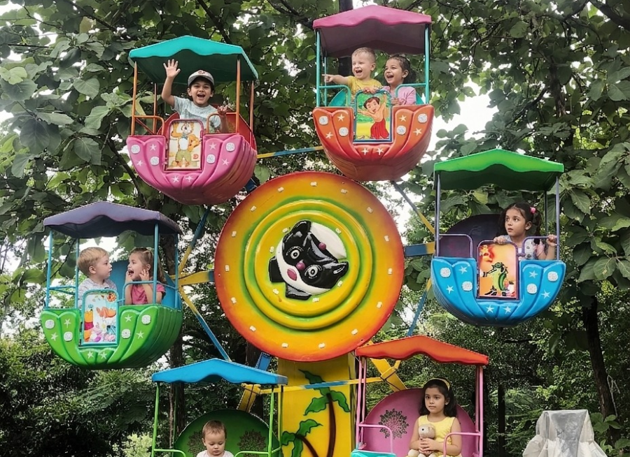 Jungle Mini Wheel